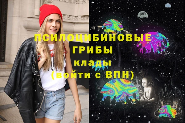 бошки Покров
