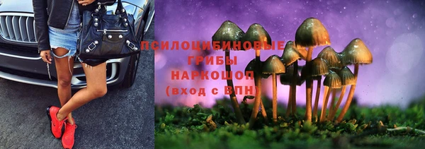 2c-b Покачи