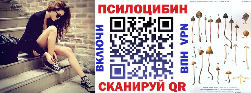 Псилоцибиновые грибы Psilocybe  мега сайт  Тосно 