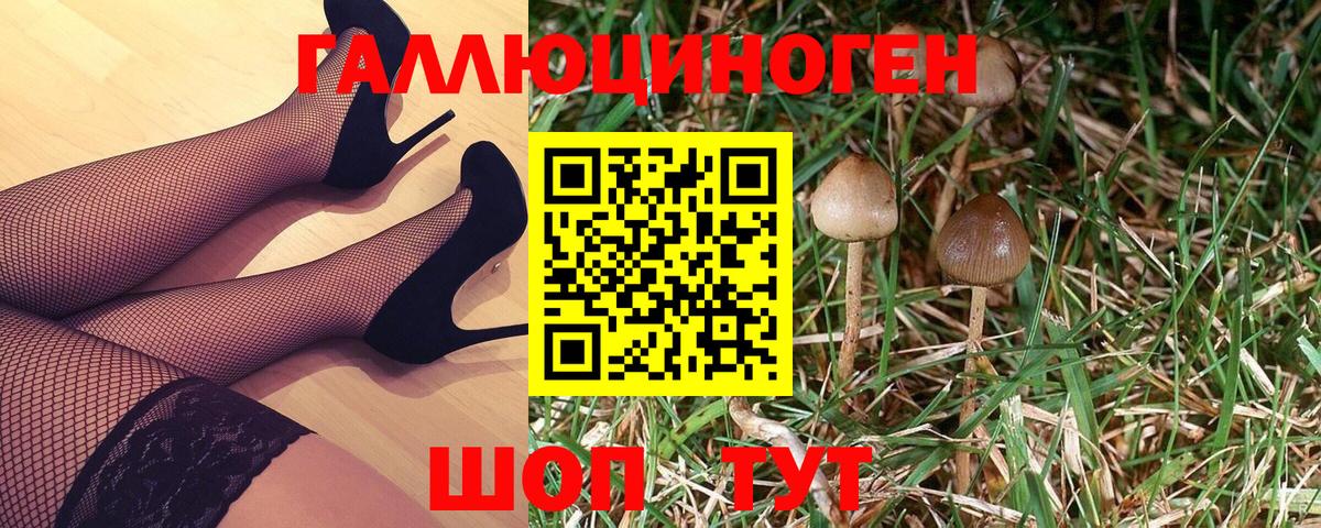 Псилоцибиновые грибы MAGIC MUSHROOMS  Вход с VPN  Тосно 