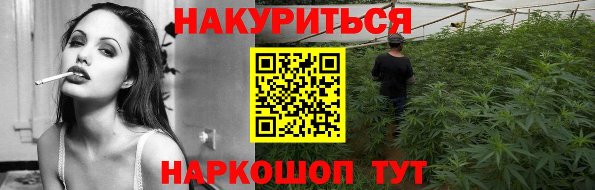 Тосно  Марихуана сатива  Каннабис семена  Канабис сатива  Каннабис White Widow  Вход с VPN 